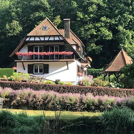 Chambres D'Hotes Maison Efftermatten Andlau-au-Val ภายนอก รูปภาพ